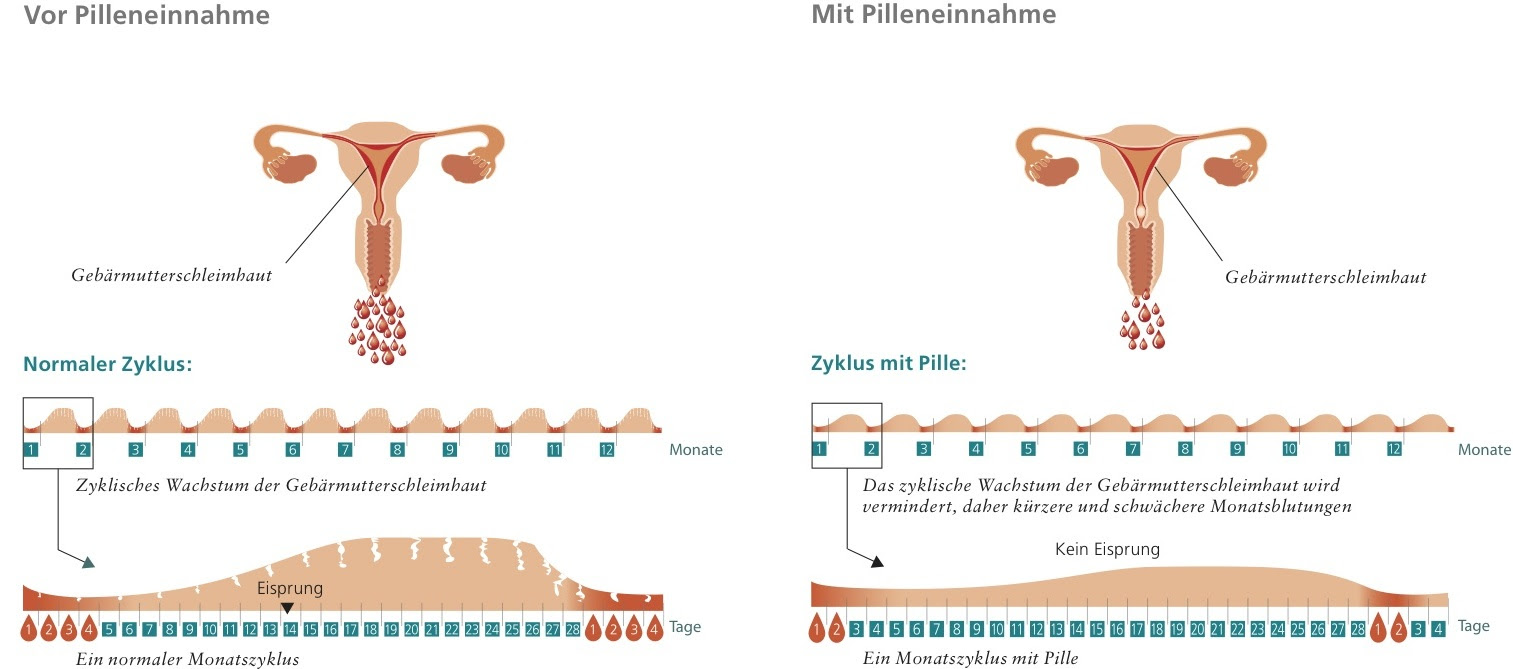 Zyklus und Menstruation mit der Pille | diepille.info