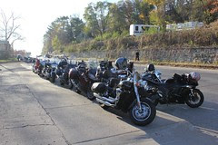 Swan Ride 2010