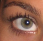A female eyebrow