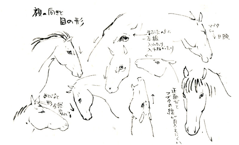 馬の描き方