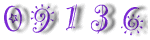 Web Site Hit Counters