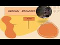 ¡Cuidado! 37+  Hechos ocultos sobre   Contoh Business Plan Brownies: Brownies may have derived from chocolate cakes, becoming a denser and shorter version.