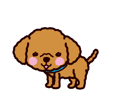 トイプードルのイラスト アプリコット イラストくん