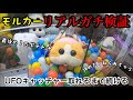 [コンプリート！] ufo キャッチャー モルカー ぬいぐるみ 278461