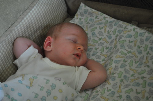 our first days together ::