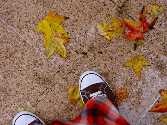 Autumn