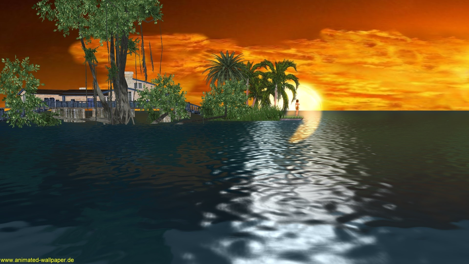 HD 3D  Live  Motion Wallpaper  46 images 