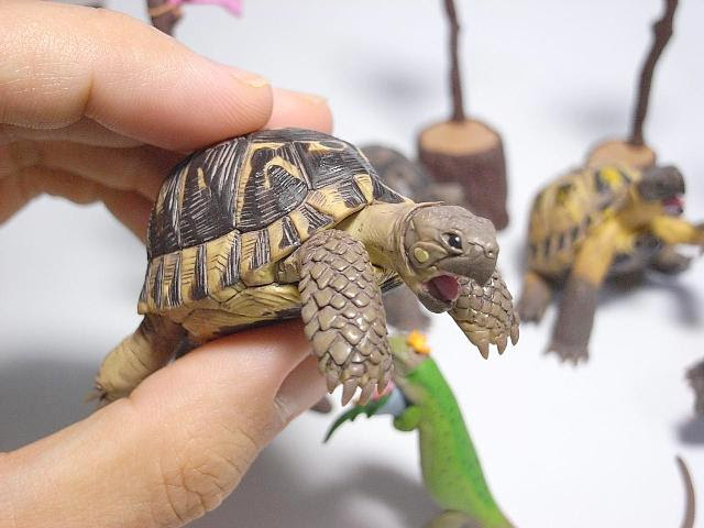 Count Blue オーダーメイドの樹脂粘土でつくる動物フィギュア