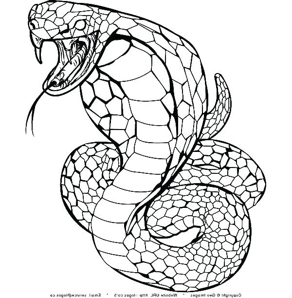 Download Snake Coloring Pages For Kids at GetColorings.com | Free printable colorings pages to print and ...