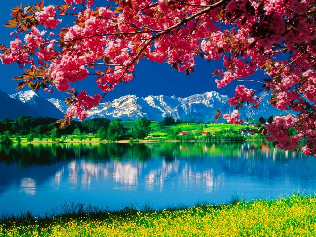 50+ Nature Wallpapers HD For Free Download