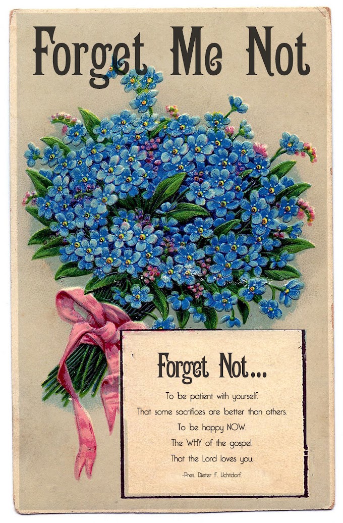 Forget Me Not Quotes And Sayings For Funerals - 8 Funeral Reception Ideas That Honor A Loved One S Memory Invitation Ideas - How do you remember your dad or grandpa?