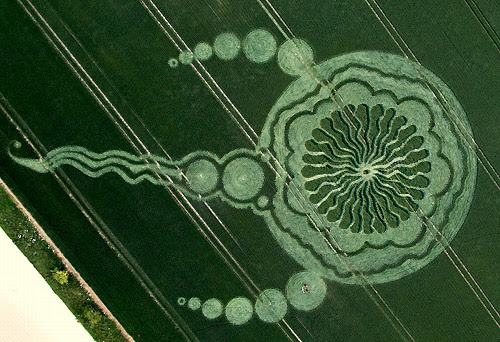 http://vidaconsciente.files.wordpress.com/2009/07/crop-circle200901.jpg