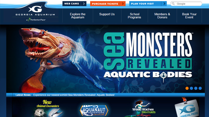 georgia aquarium website design inspiration