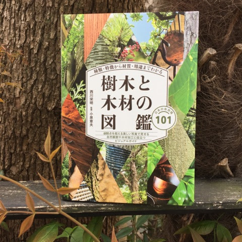 樹木と木材の図鑑 超おすすめです 木の家具の工房 ぽちてっく