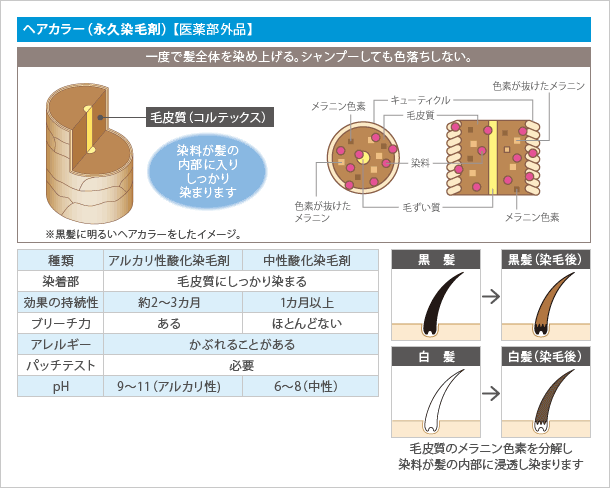 ヘアカラーの種類 Hair Makeup Nai Salon Pace パーチェ