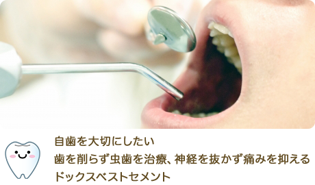 ドッグベストセメント 審美歯科なら埼玉県北本市の今村歯科医院