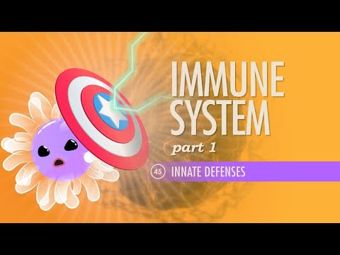Immune System, Part 2: Crash Course A&P #46B