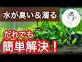 √100以上 水槽 臭い 原因 172829-水槽 臭い 原因 メダカ