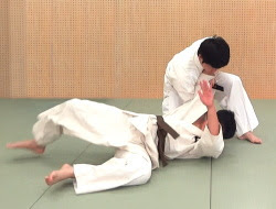 投げ技 なげわざ 現代総合武道 大東流空手道