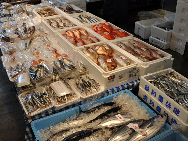清水魚市場 河岸の市