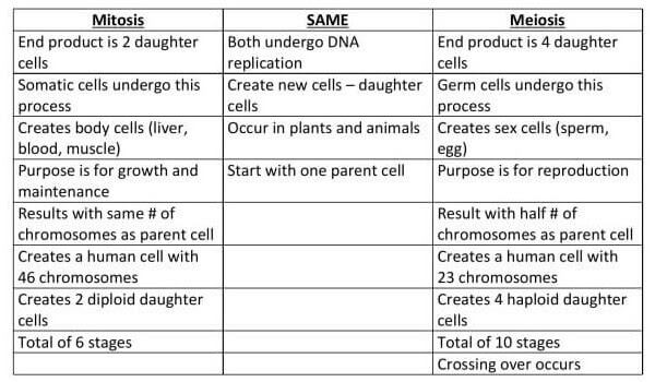 Asexual Vs Sexual Reproduction Venn Diagram