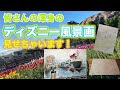 ディズニー 風景写真 294299-ディズニー 風景写真 一眼