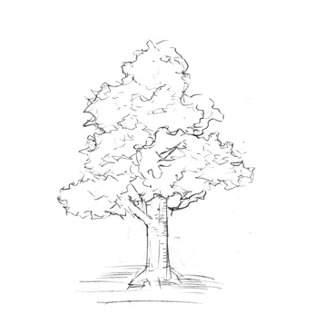 木と草の描き方