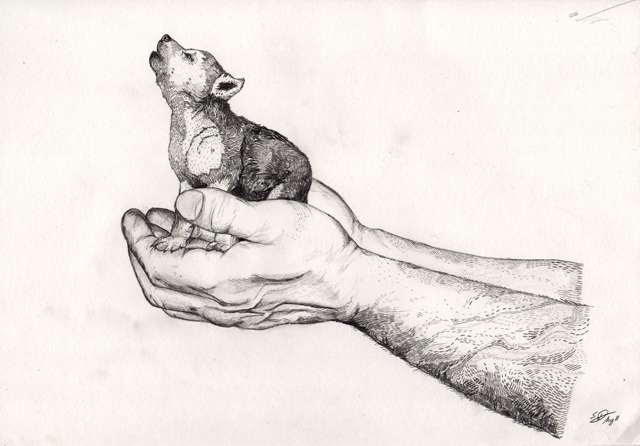 Image Hosted by ImageShack.us