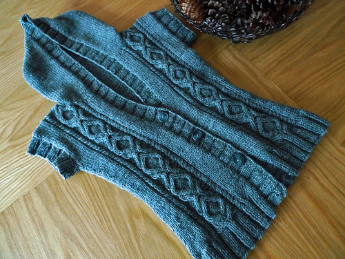 Hoodie Vest