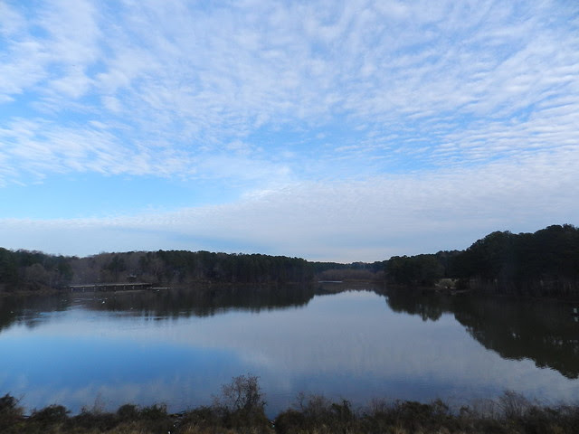 skywatfDSCN0188