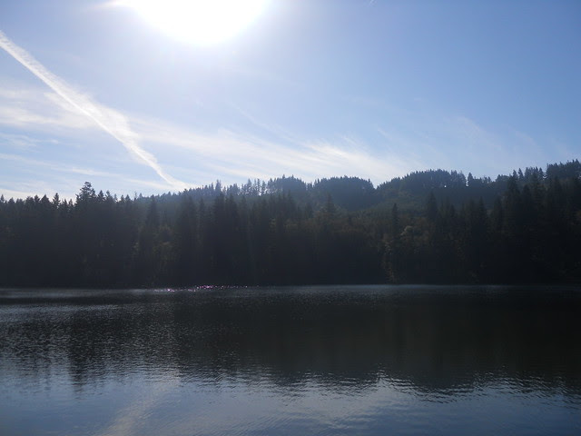 fall2010 144