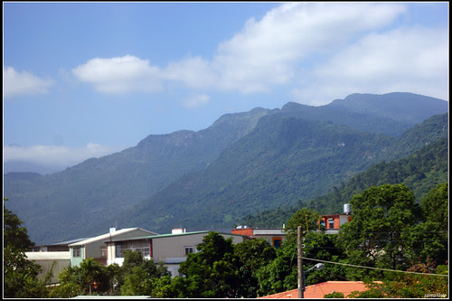 DSC03364