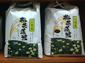 グラウンドワーク三島 好評発売中 梅花藻米 ばいかもまい 販売