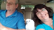 cockatoo price ph Onni Did Not Like Team Rocket
