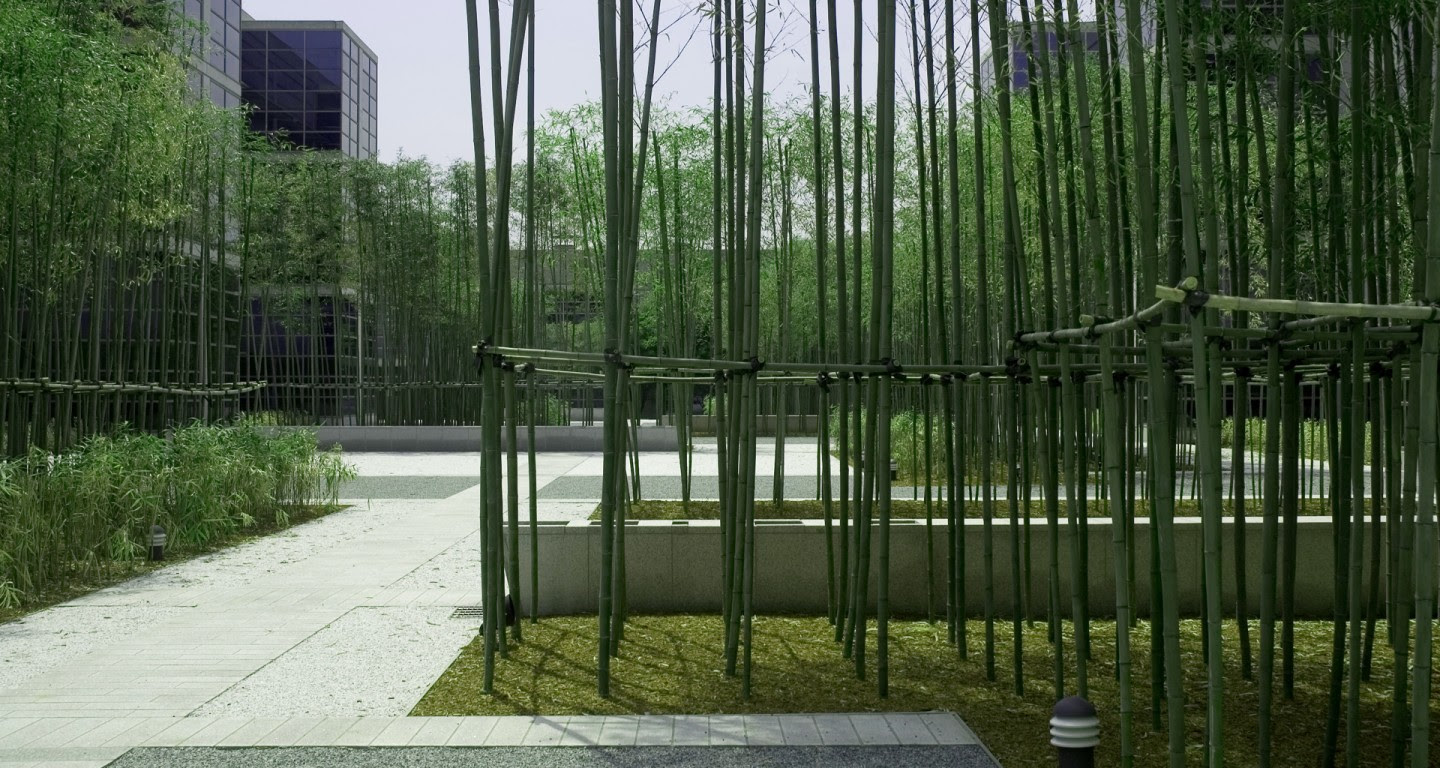 Design - Bamboo Garden: LG HeadquartersMikyoung Kim Design - Landscape 