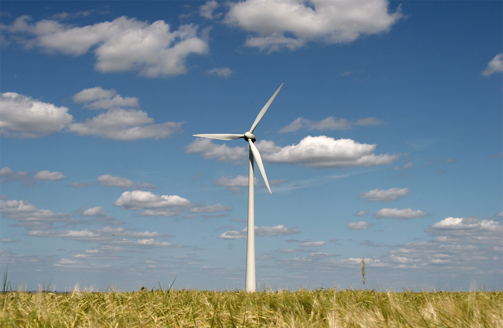 Sources of Energy Used to Generate Electricity - Wind Energy | SPM 