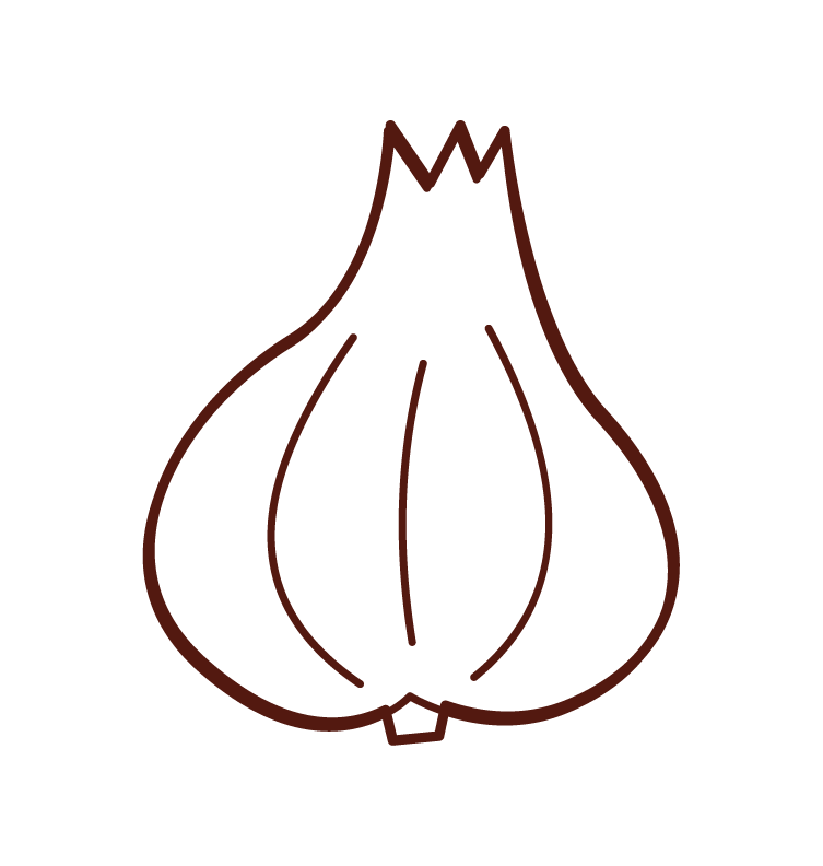 ニンニクのイラスト フリーイラスト素材 Kukukeke ククケケ