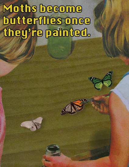 Where Do Butterflies Come From?