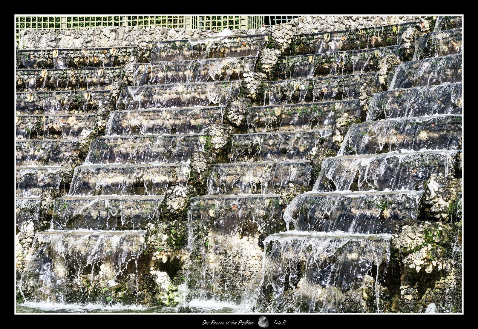 Détails du bosquet des rocailles.