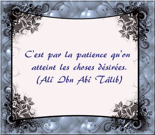 Biographie Ali Ibn Abi Talib Page 7