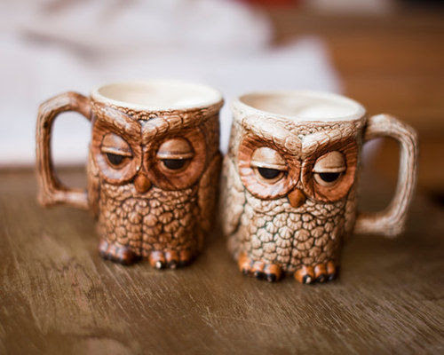 Owl Mugs Pictures, Photos, and Images for Facebook, Tumblr 