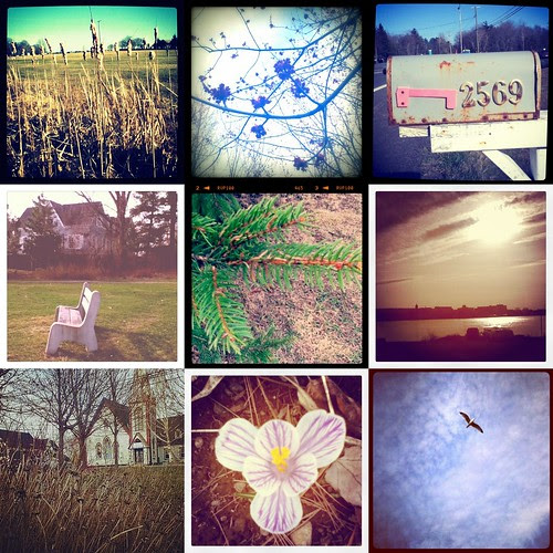 Collage