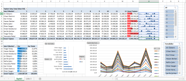 Excel Türkçe Dashboard Raporlama