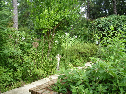 botanical garden