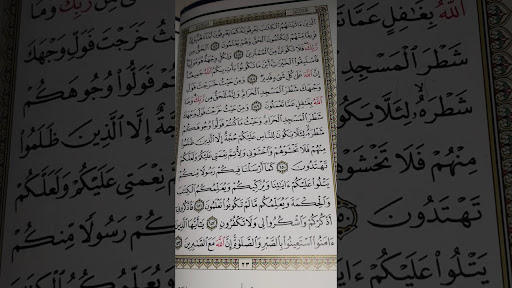 سورة البقره الصفحه 23 وا متشابهات