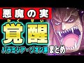 ワンピース 能力 覚醒 182996-ワンピース 能力 覚醒