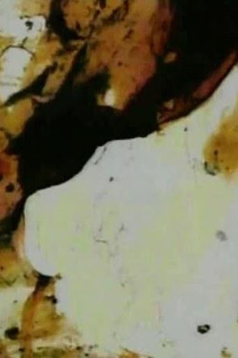 Kép