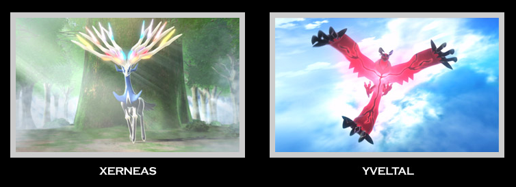 ポケモンx Yに登場する 伝説のポケモンの名前 Xerneas と Yveltal ポケットモンスターｘ ｙの予約をするなら今 予約特典付き 楽天ブログ
