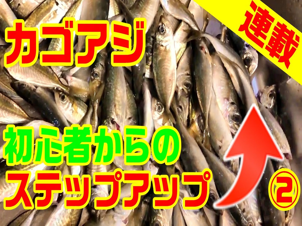 堤防カゴアジ釣り 初心者向け釣り方 連載 おすすめ竿 リール編 おさかな探究隊 さかきゅう