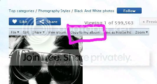 copytomyalbum